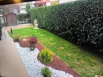 Appartamento con giardino piano terra annuale