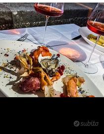 Chef cuisinier disponibile esperienze documentate