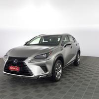 LEXUS NX NX Hybrid Business