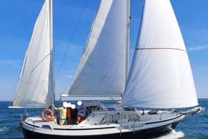 Viksund 31 Goldfish – Motorsailer Ketch - Natante