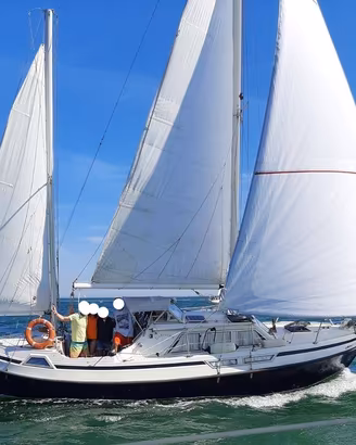 Viksund 31 Goldfish – Motorsailer Ketch - Natante