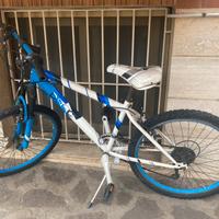 Bicicletta mountainbike 24