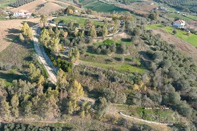 Terreno di 15000mq edificabile
