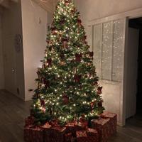 ALBERO NATALE H. 270 cm e luci 50 mt.