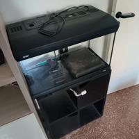 Acquario Newa Mirabello 60