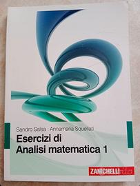 Analisi matematica 1 - libro teoria e uno esercizi