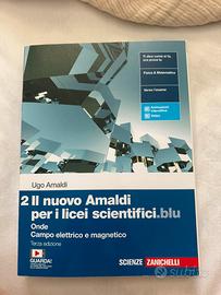 il nuovo amaldi 2, onde e campo elettromagnetico