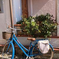 bicicletta da donna modello americano