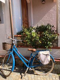 bicicletta da donna modello americano