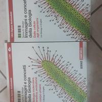 libri per liceo scientifico