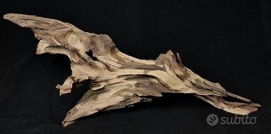 Mangrovia per acquario