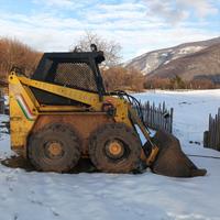 Minipala Jolly Cat 804