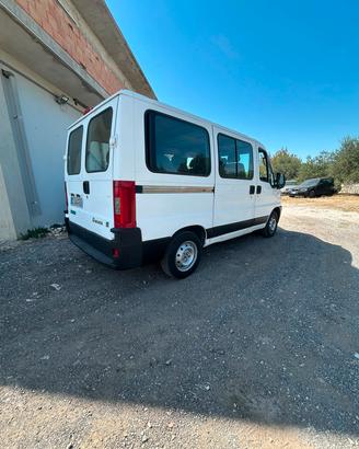 fiat ducato 9 posti