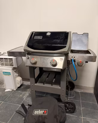 BBQ gas Weber Spirit II E-220