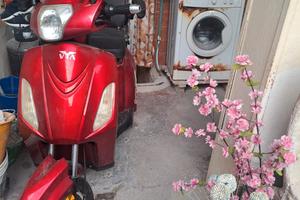 motorini per disabile 