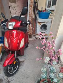 motorini per disabile 