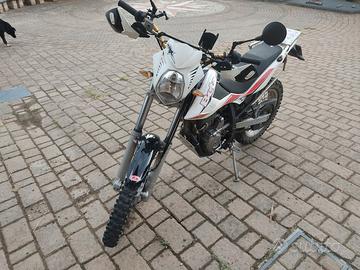 beta Alp 4.0