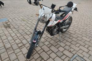 beta Alp 4.0