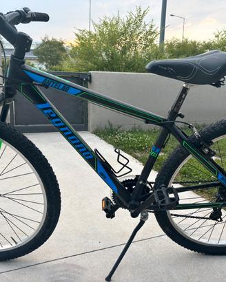 Bici mountain bike