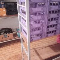 Scaffale stagionatura formaggi