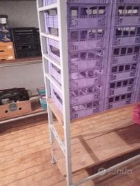 Scaffale stagionatura formaggi