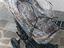 Immagine 5