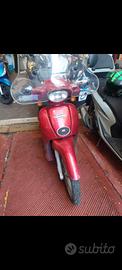 Scarabeo 50cc deluxe
