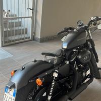 Harley Davidson 883 iron