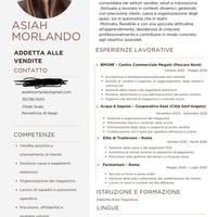 Commessa, donna pulizie, baby sitter