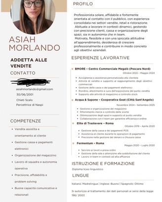 Commessa, donna pulizie, baby sitter