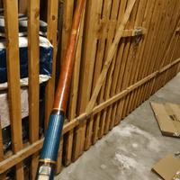 canna bolognese vintage