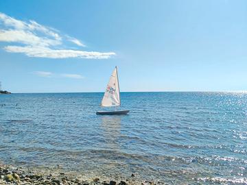 barca vela