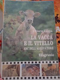 la vacca e il vitello di cappa 
