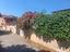 Immagine 28