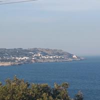 Aiutocuoco /lavapiatti con esperienza