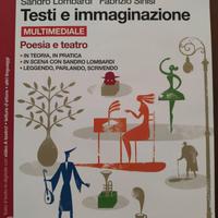 libro TESTI E IMMAGINAZIONE 