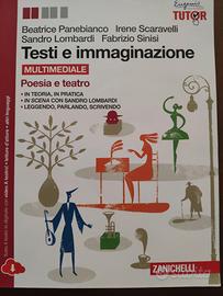 libro TESTI E IMMAGINAZIONE 