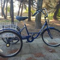 Bicicletta Tre Ruote Schiano con cestello