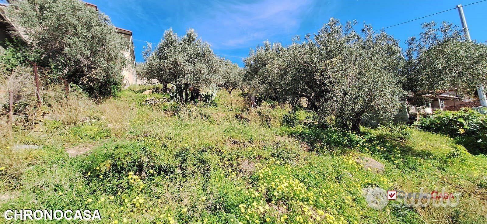 Rodia, terreno agricolo di circa 1000 mq - Vista 5