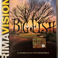 DVD film Big fish