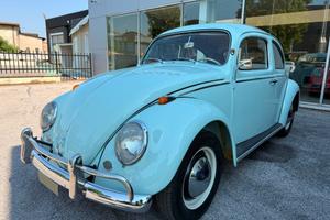 VOLKSWAGEN Maggiolino maggiolino