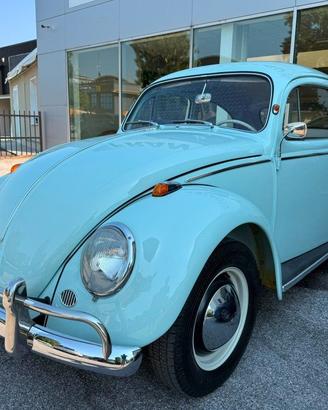 VOLKSWAGEN Maggiolino maggiolino