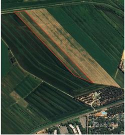 Terreno agric. a - Marina di BibbonaBibbona