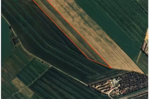 Terreno agric. a - Marina di BibbonaBibbona