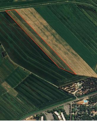 Terreno agric. a - Marina di BibbonaBibbona