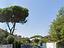 Immagine 8