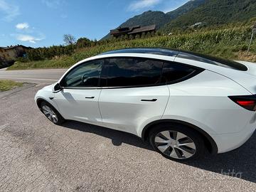 Tesla model Y RWD