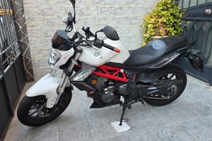 Benelli Bn 302 - 2018