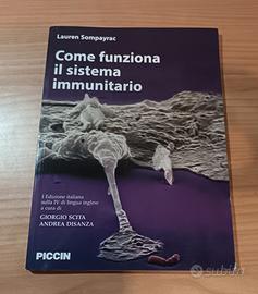 Come funziona il sistema immunitario