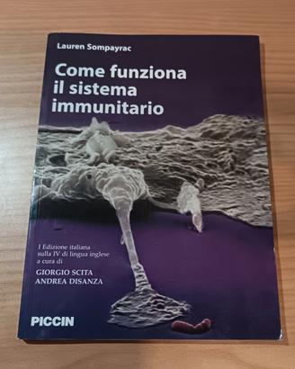 Come funziona il sistema immunitario